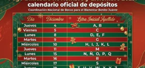 Pago bimestre noviembre y diciembre 2025
