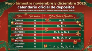 Pago bimestre noviembre y diciembre 2025